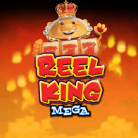 Reel King Mega game cover